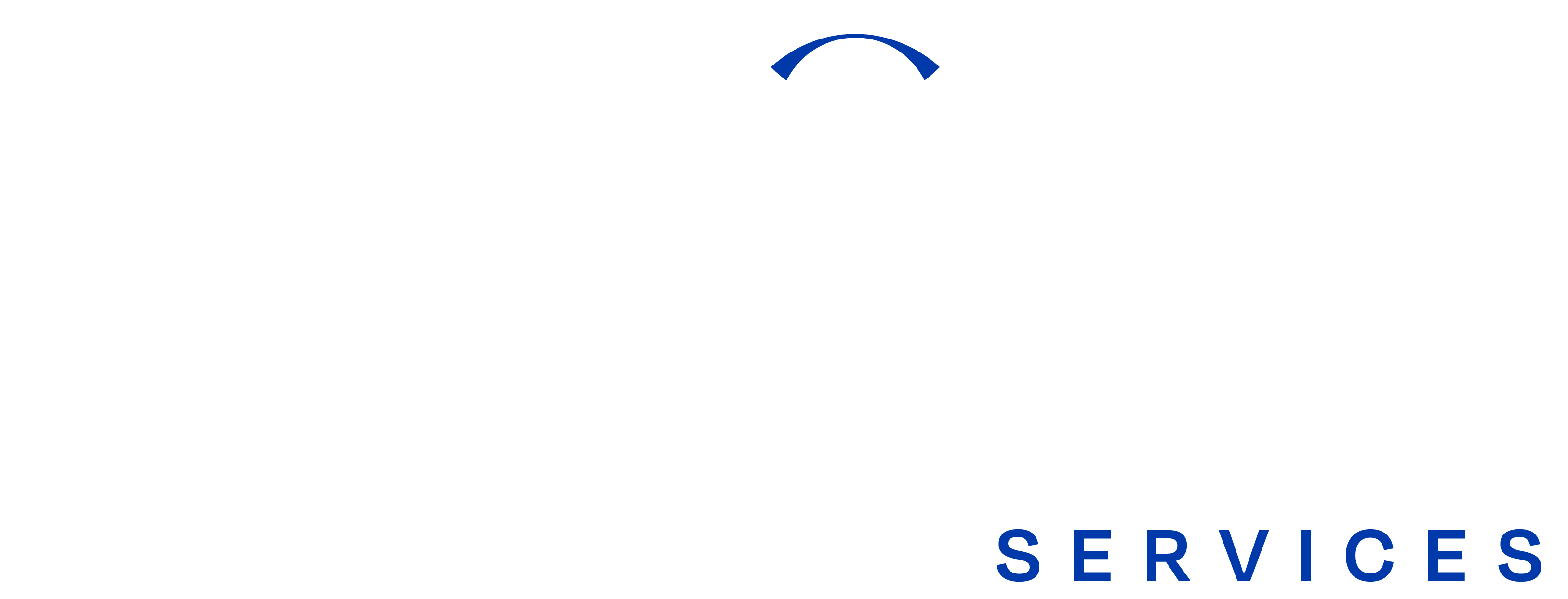 Logo Capston Services